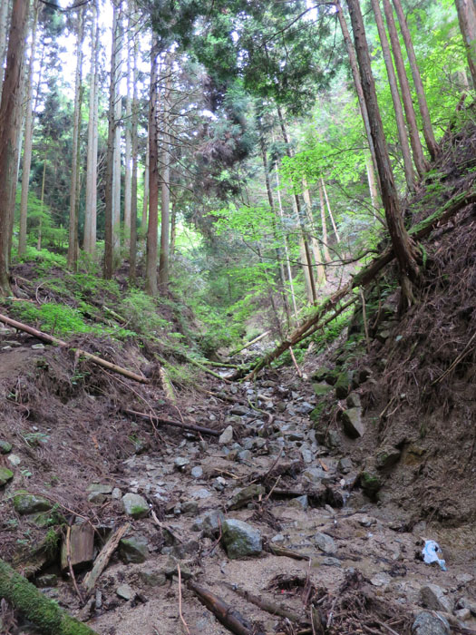 e0077010_1816442.jpg
