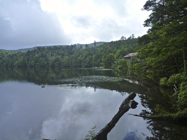 f0225414_022011.jpg