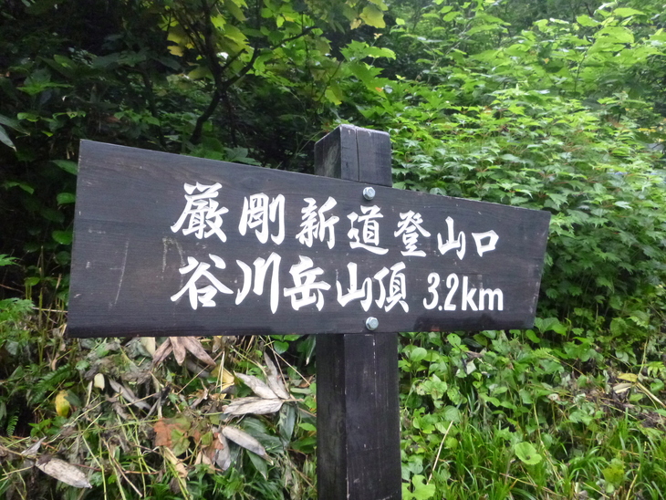 d0170615_11413377.jpg