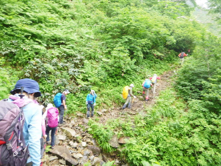 d0170615_11415946.jpg