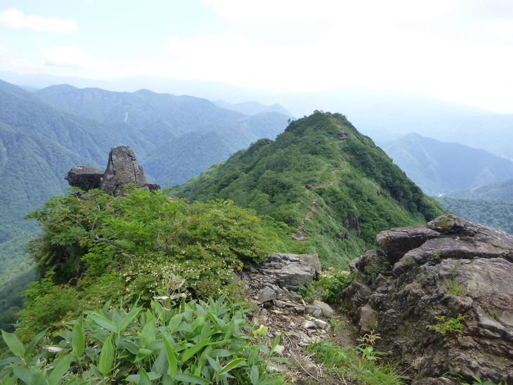 d0170615_11441190.jpg