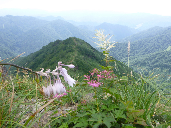 d0170615_11444623.jpg