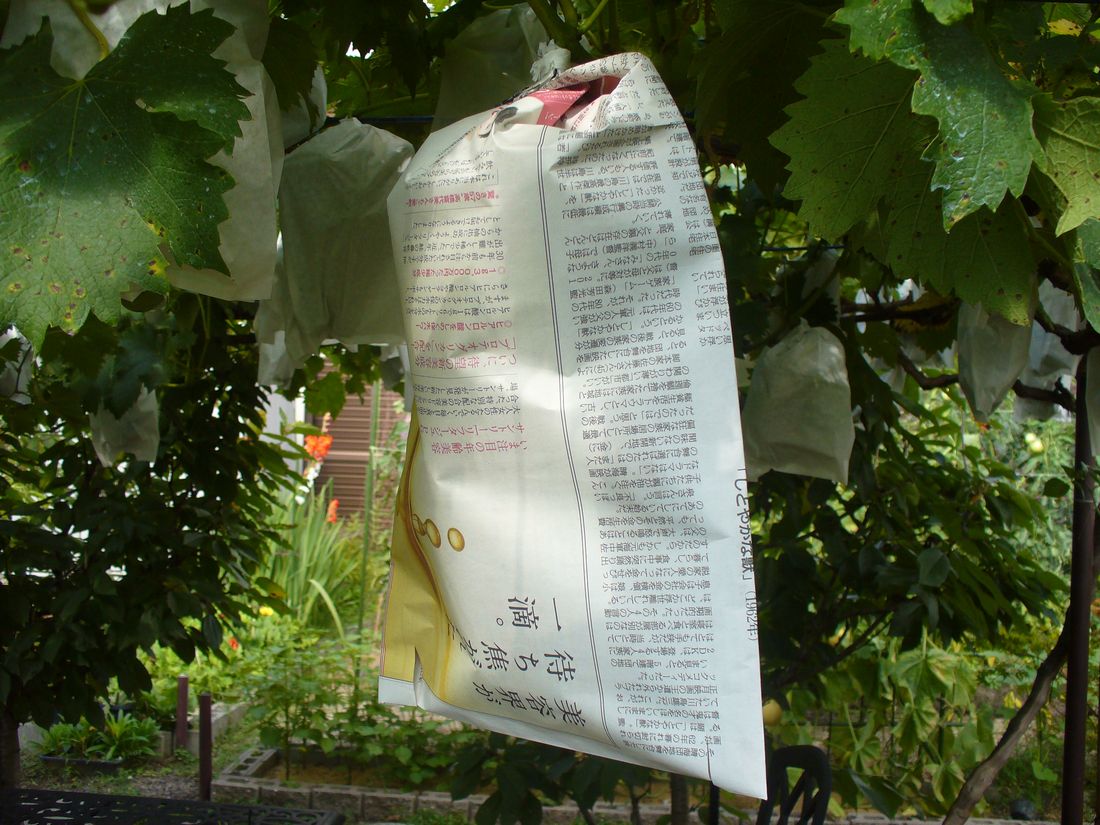 f0346527_22592165.jpg