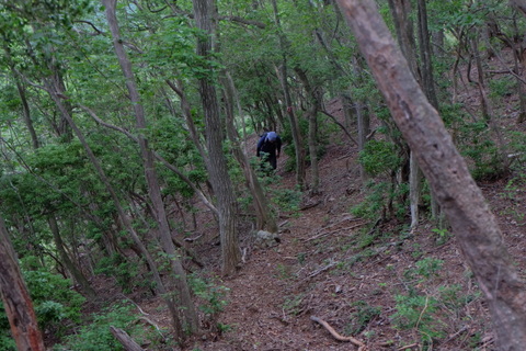 b0281732_2151450.jpg