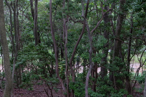 b0281732_2152265.jpg