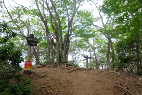 b0281732_2153816.jpg
