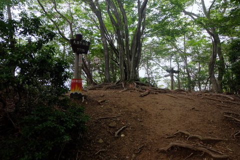 b0281732_2154537.jpg