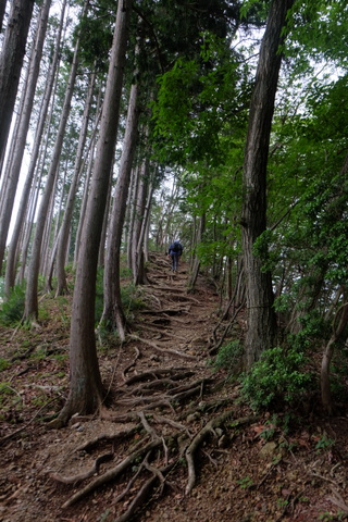 b0281732_216510.jpg