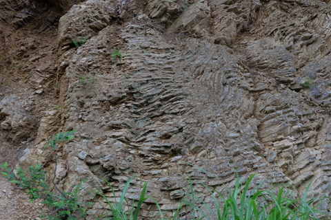 b0281732_2165374.jpg