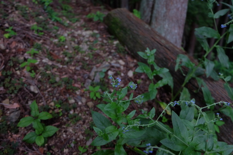 b0281732_2183276.jpg