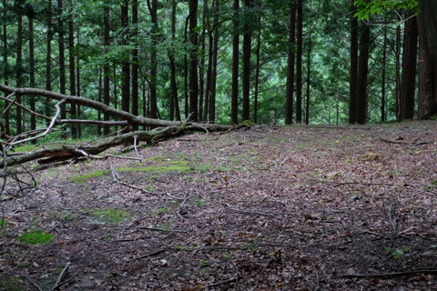 b0281732_2184742.jpg