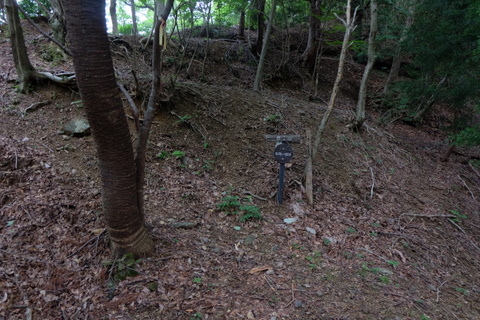 b0281732_219167.jpg