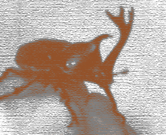 b0246533_1615615.jpg