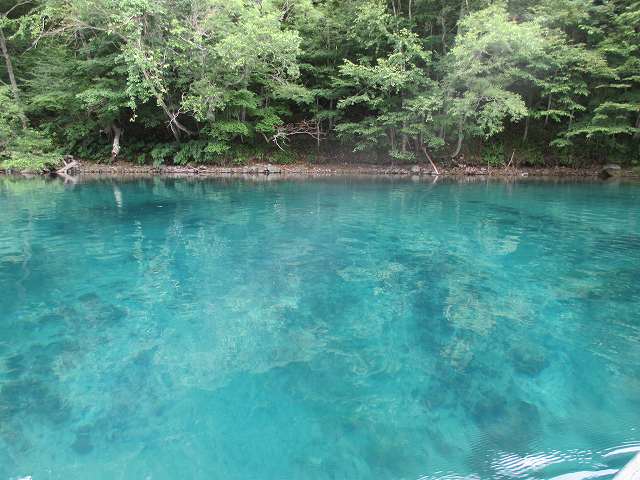 f0321433_11263125.jpg
