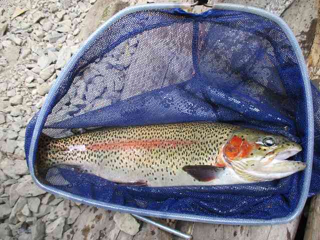 f0321433_11265983.jpg