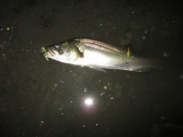 f0321433_12080369.jpg