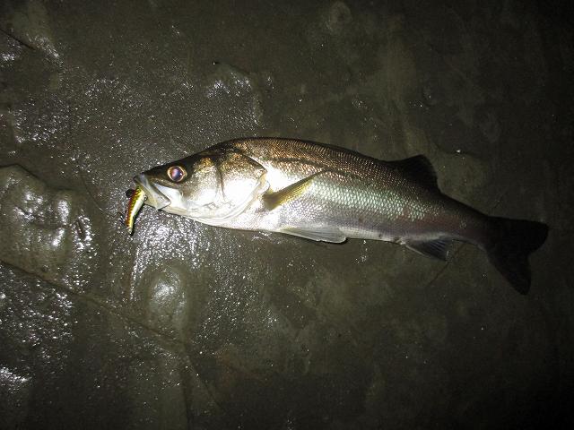 f0321433_12092000.jpg