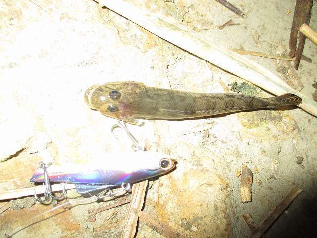 f0321433_12092471.jpg