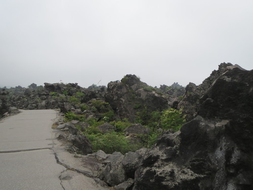 e0259738_64559100.jpg