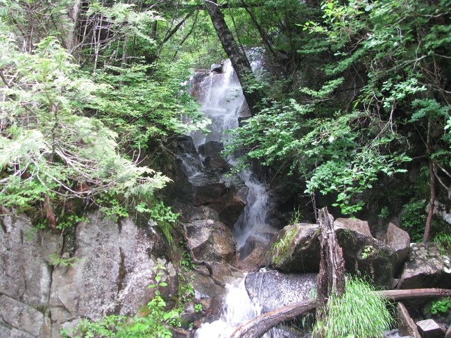 f0151044_84522.jpg