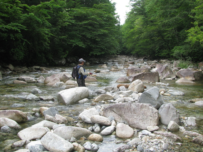 f0151044_846466.jpg