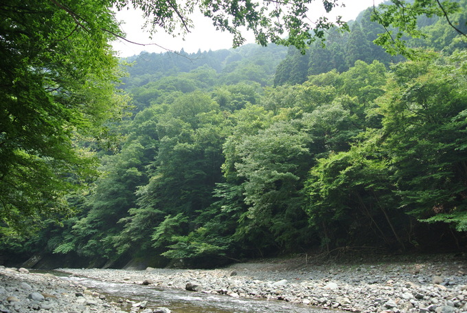 e0121548_16392921.jpg