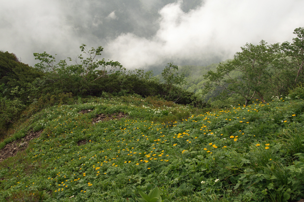 f0214649_5234432.jpg