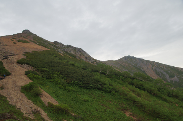 f0214649_531813.jpg
