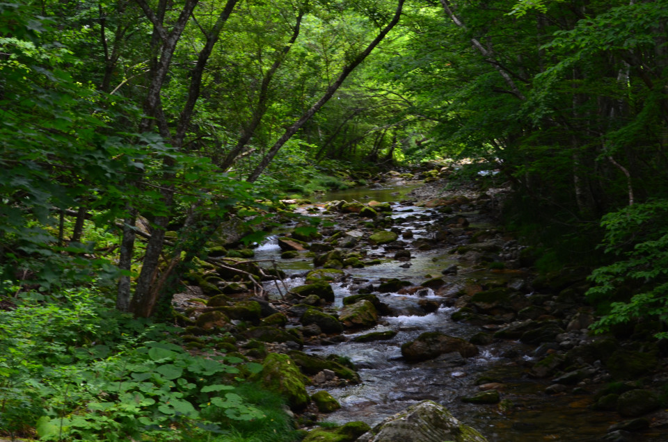d0283357_165093.jpg