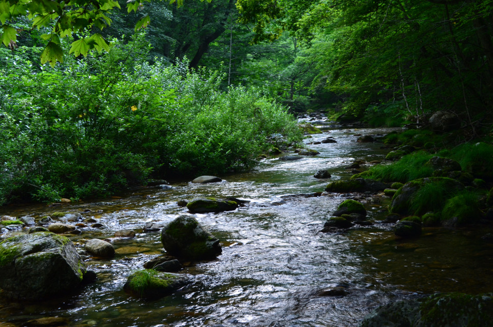 d0283357_174074.jpg