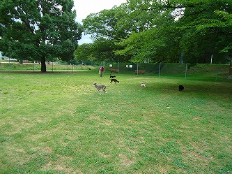e0002466_1332368.jpg