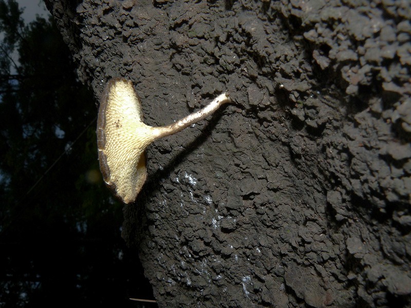 d0019074_901720.jpg