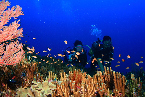 d0114375_23523862.jpg