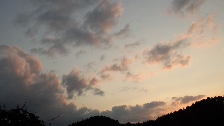 a0130586_20101040.jpg