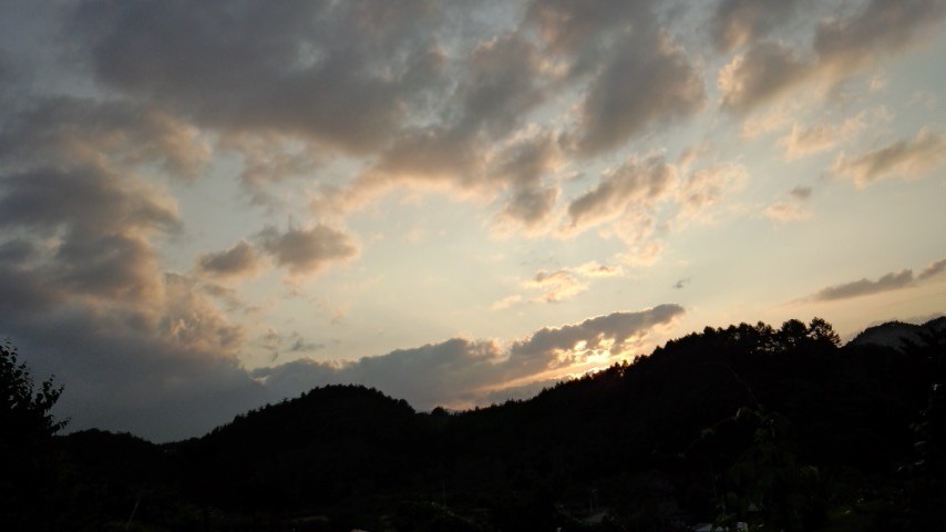 a0130586_2093219.jpg