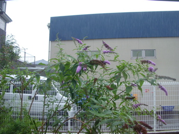 c0149195_23334067.jpg
