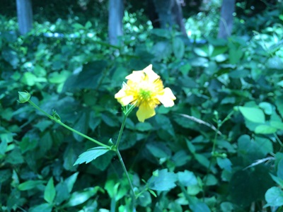 f0201297_2311287.jpg