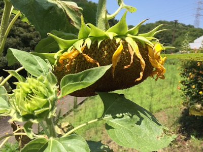 f0201297_231756.jpg
