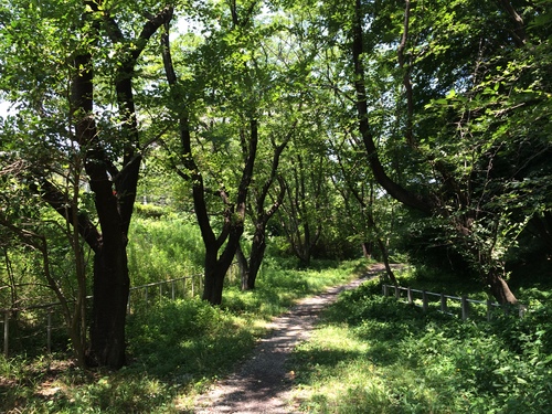 f0201297_2364466.jpg
