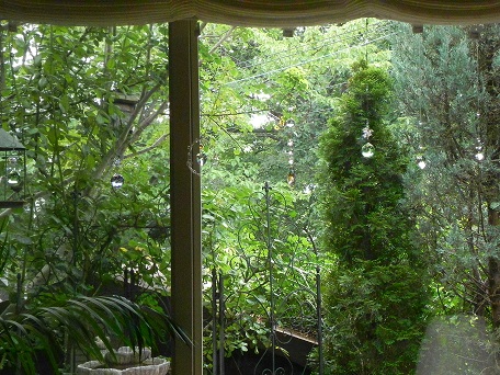 c0152002_18574369.jpg