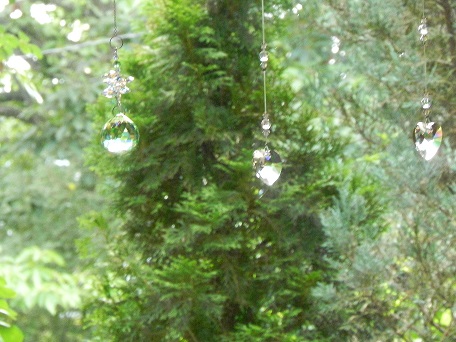 c0152002_18581747.jpg