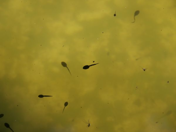 c0164709_20571542.jpg