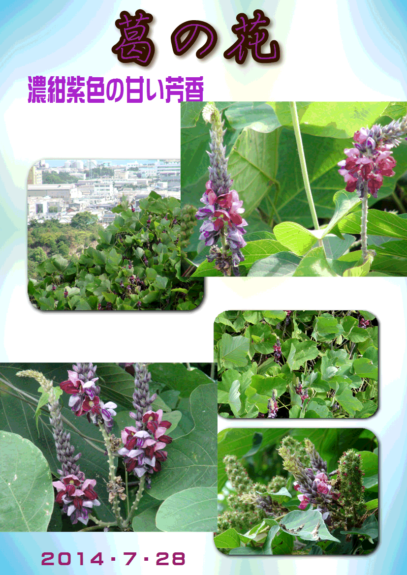 f0231709_20321388.gif