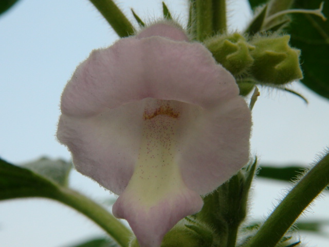 f0231709_20474256.jpg