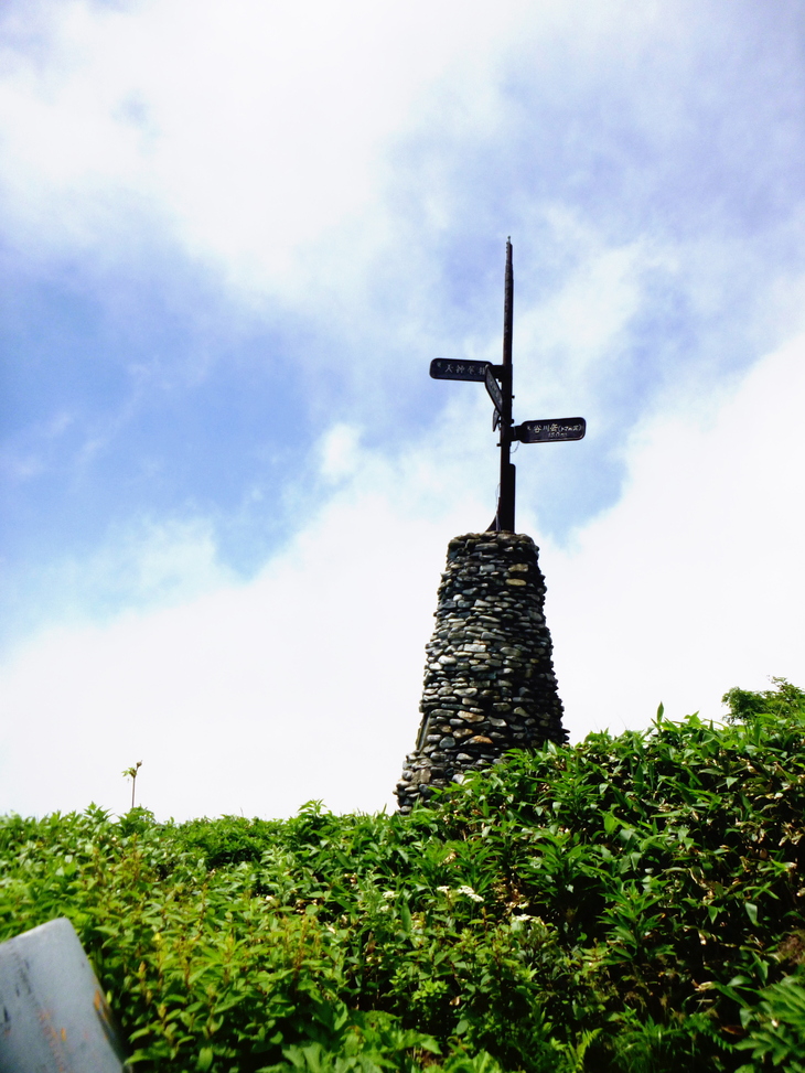 d0170615_964921.jpg