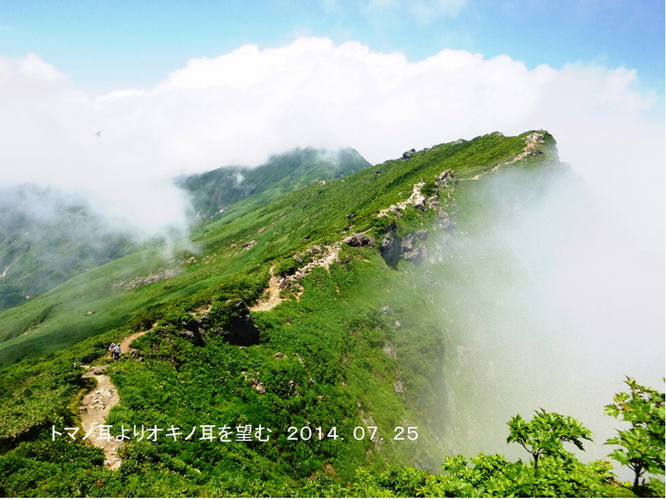 d0170615_972339.jpg