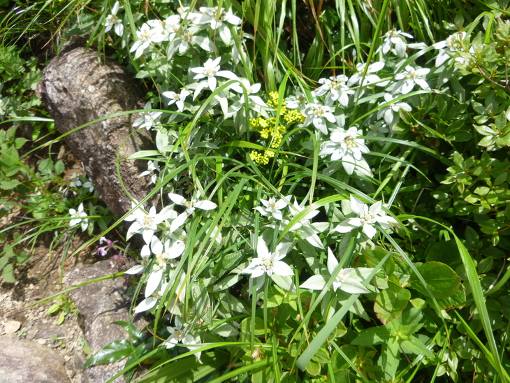 d0170615_974551.jpg