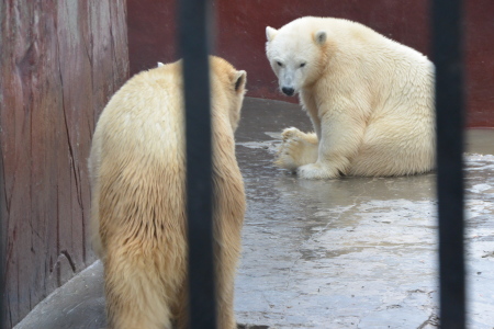 f0344626_00442013.jpg