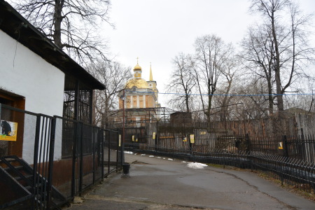 f0344626_07341695.jpg
