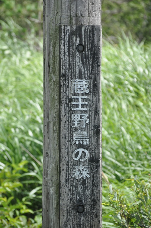 a0248728_23101088.jpg